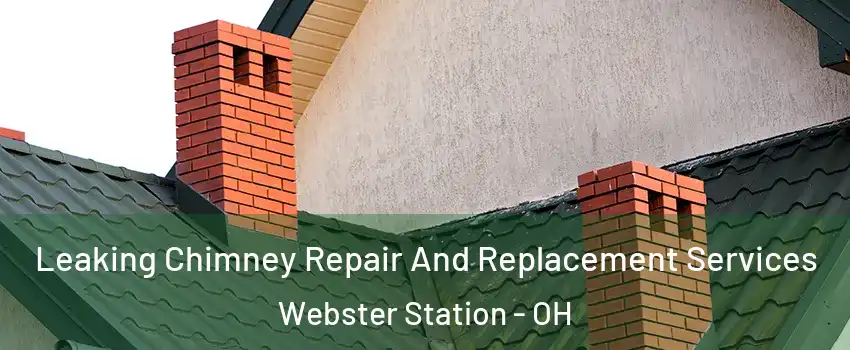 Leaking Chimney Repair And Replacement Services Webster Station - OH
