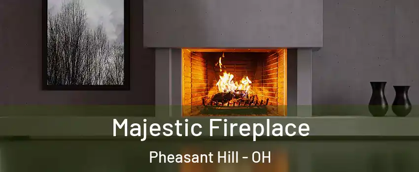 Majestic Fireplace Pheasant Hill - OH