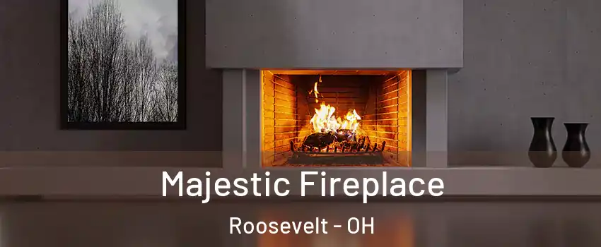 Majestic Fireplace Roosevelt - OH