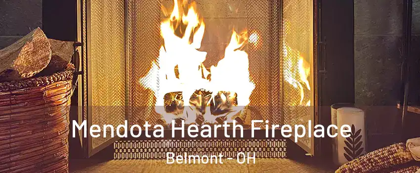 Mendota Hearth Fireplace Belmont - OH