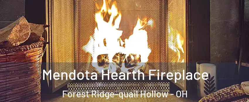 Mendota Hearth Fireplace Forest Ridge-quail Hollow - OH