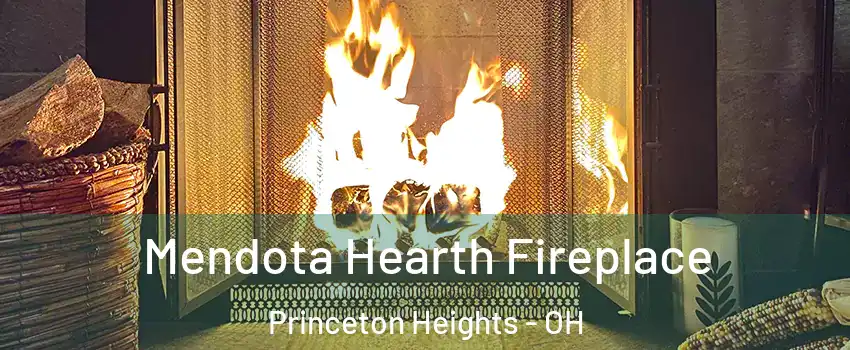 Mendota Hearth Fireplace Princeton Heights - OH