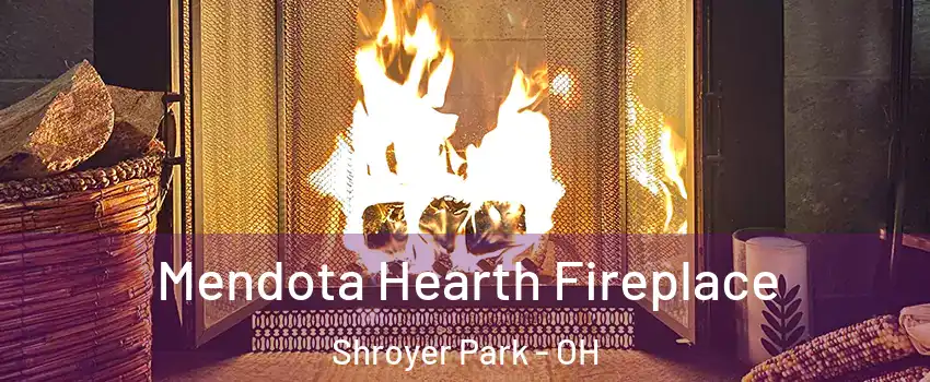 Mendota Hearth Fireplace Shroyer Park - OH