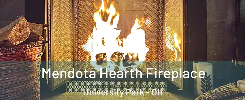 Mendota Hearth Fireplace University Park - OH