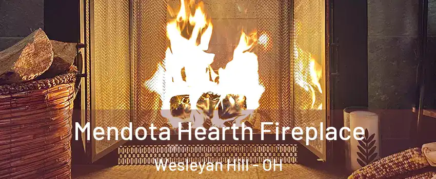 Mendota Hearth Fireplace Wesleyan Hill - OH