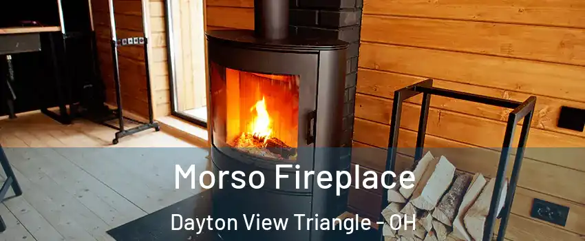 Morso Fireplace Dayton View Triangle - OH