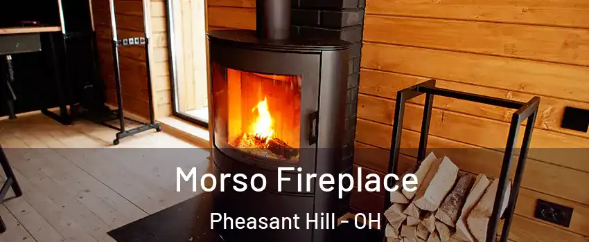 Morso Fireplace Pheasant Hill - OH