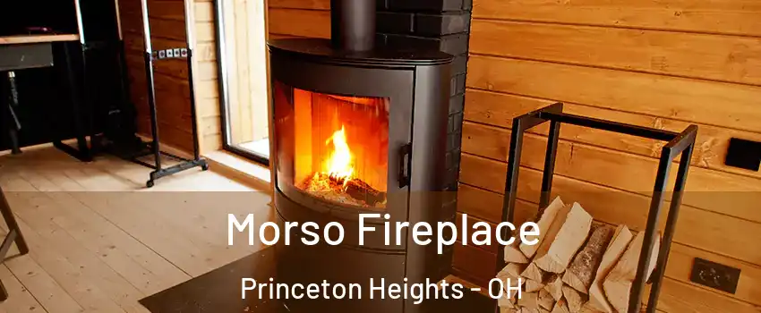 Morso Fireplace Princeton Heights - OH
