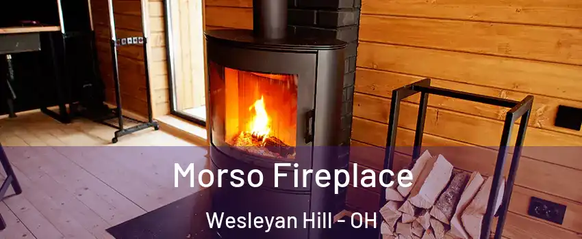 Morso Fireplace Wesleyan Hill - OH