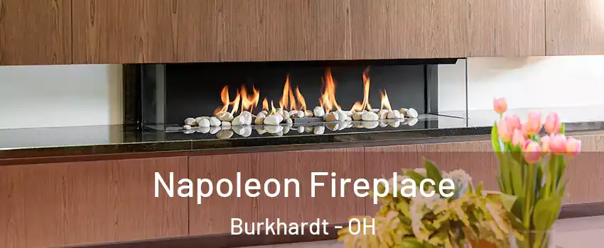 Napoleon Fireplace Burkhardt - OH