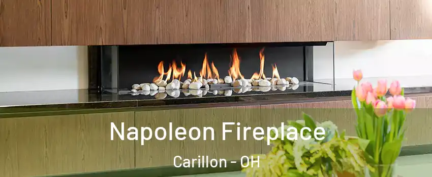 Napoleon Fireplace Carillon - OH