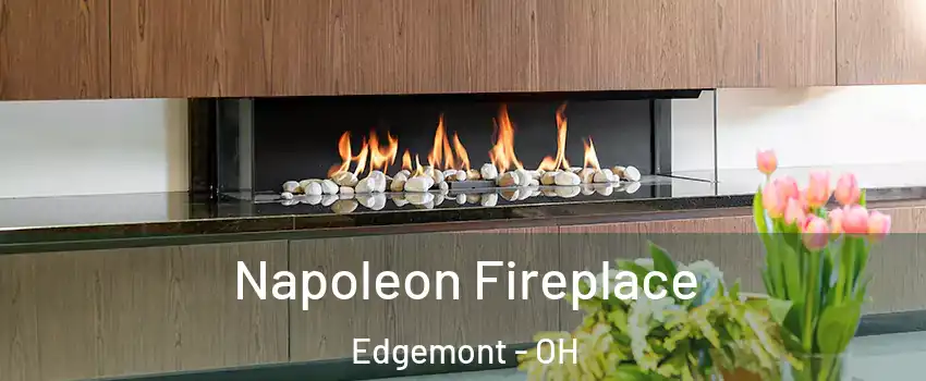Napoleon Fireplace Edgemont - OH