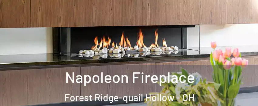 Napoleon Fireplace Forest Ridge-quail Hollow - OH