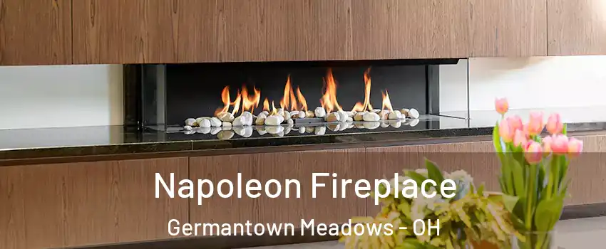 Napoleon Fireplace Germantown Meadows - OH