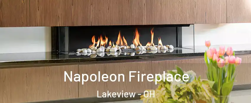 Napoleon Fireplace Lakeview - OH