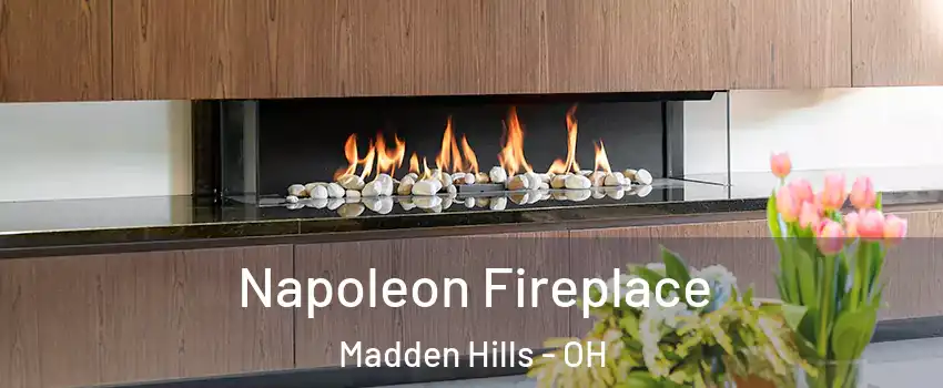 Napoleon Fireplace Madden Hills - OH