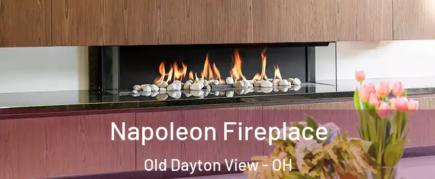 Napoleon Fireplace Old Dayton View - OH