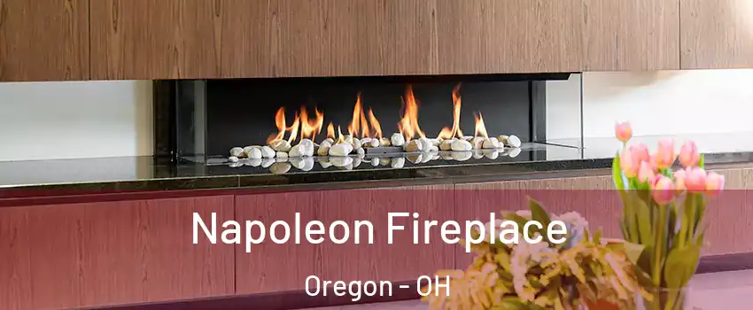 Napoleon Fireplace Oregon - OH
