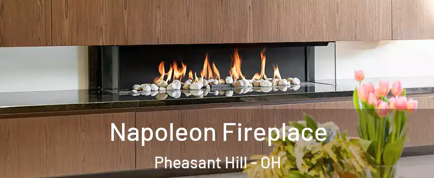 Napoleon Fireplace Pheasant Hill - OH