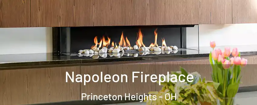 Napoleon Fireplace Princeton Heights - OH