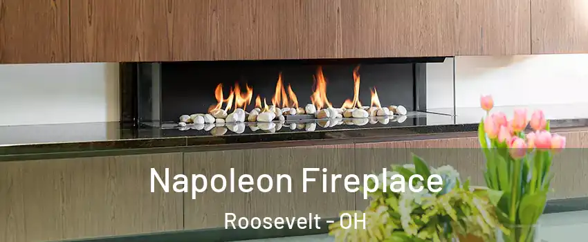 Napoleon Fireplace Roosevelt - OH