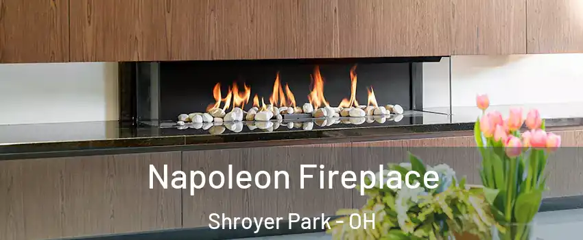 Napoleon Fireplace Shroyer Park - OH