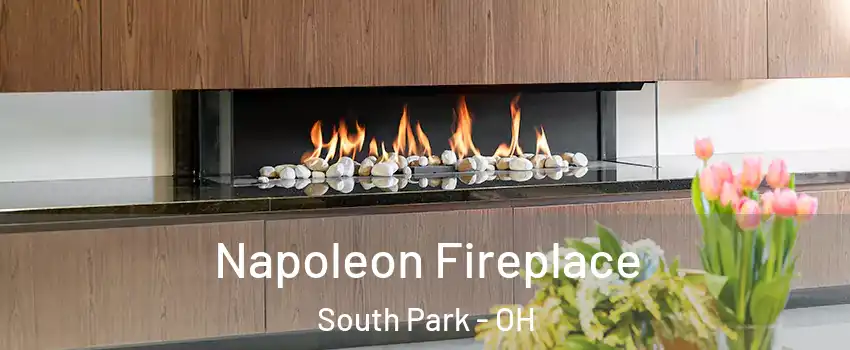 Napoleon Fireplace South Park - OH