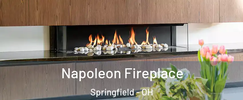 Napoleon Fireplace Springfield - OH
