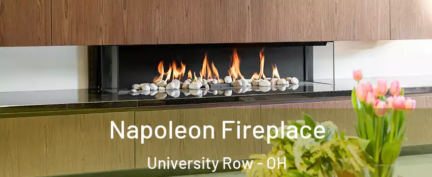 Napoleon Fireplace University Row - OH