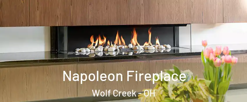 Napoleon Fireplace Wolf Creek - OH