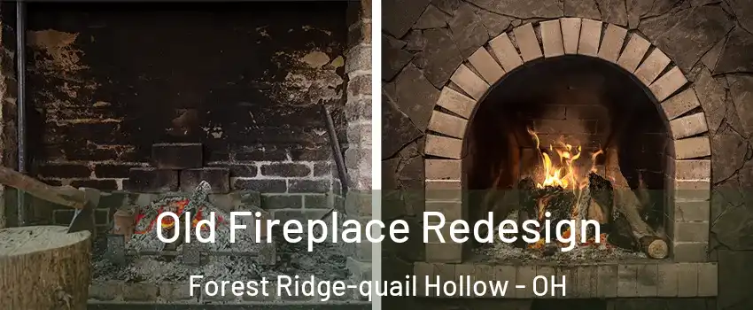 Old Fireplace Redesign Forest Ridge-quail Hollow - OH