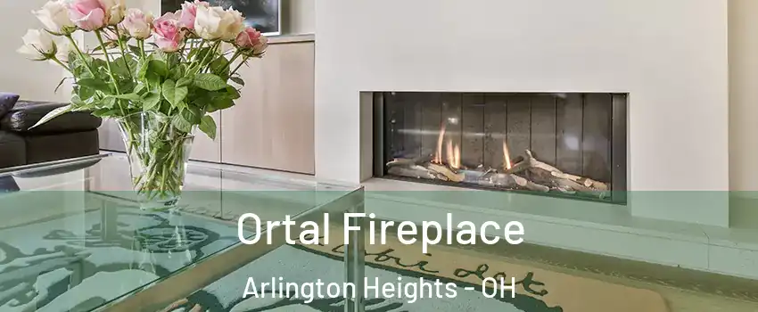 Ortal Fireplace Arlington Heights - OH
