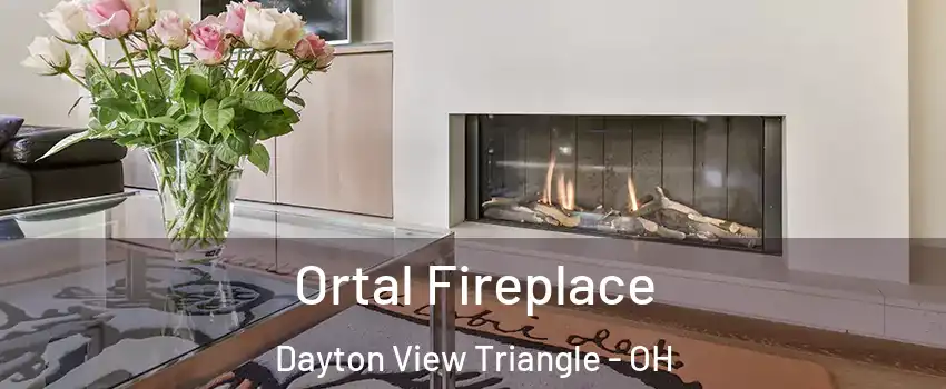 Ortal Fireplace Dayton View Triangle - OH