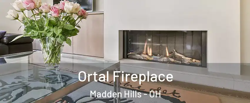 Ortal Fireplace Madden Hills - OH