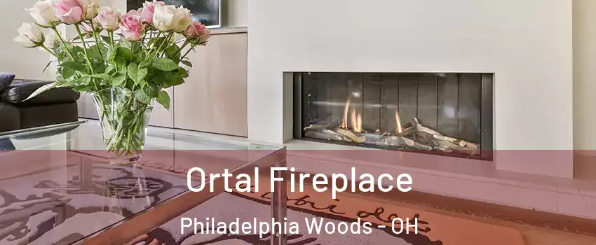 Ortal Fireplace Philadelphia Woods - OH