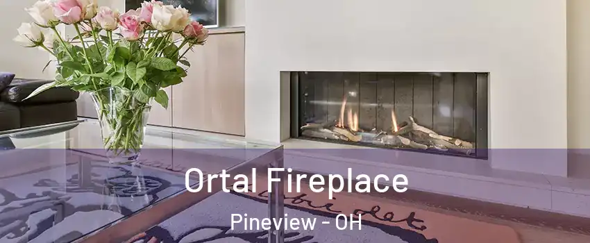 Ortal Fireplace Pineview - OH