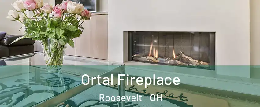 Ortal Fireplace Roosevelt - OH