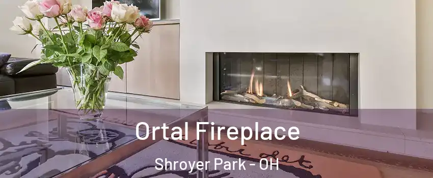 Ortal Fireplace Shroyer Park - OH