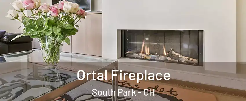 Ortal Fireplace South Park - OH