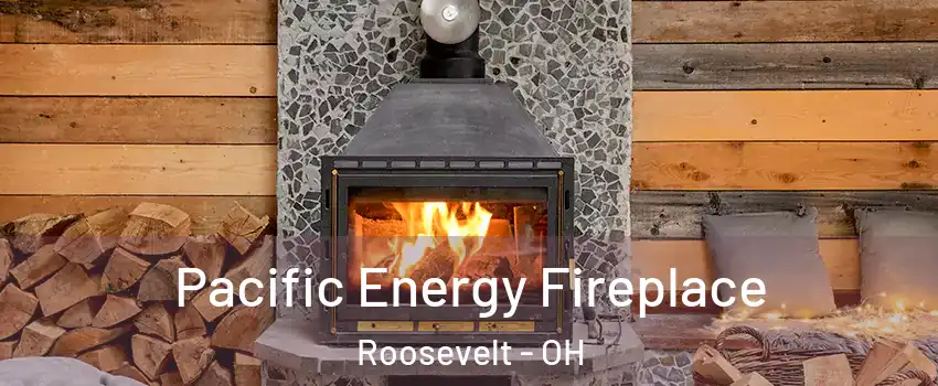 Pacific Energy Fireplace Roosevelt - OH