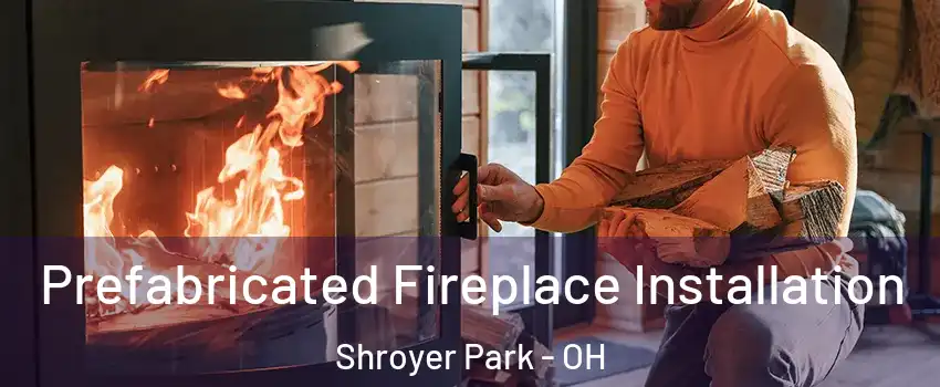 Prefabricated Fireplace Installation Shroyer Park - OH