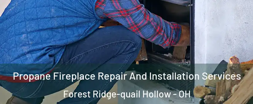 Propane Fireplace Repair And Installation Services Forest Ridge-quail Hollow - OH