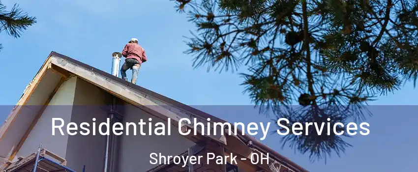 Residential Chimney Services Shroyer Park - OH