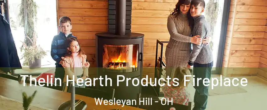 Thelin Hearth Products Fireplace Wesleyan Hill - OH