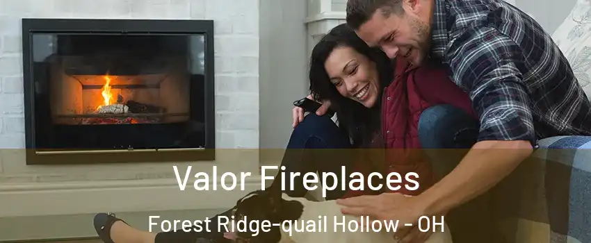 Valor Fireplaces Forest Ridge-quail Hollow - OH