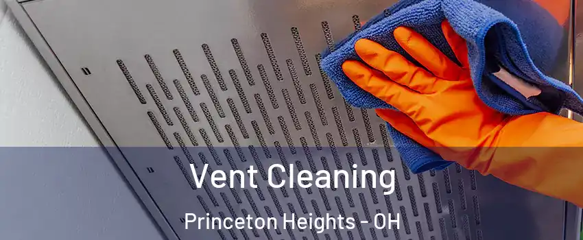 Vent Cleaning Princeton Heights - OH