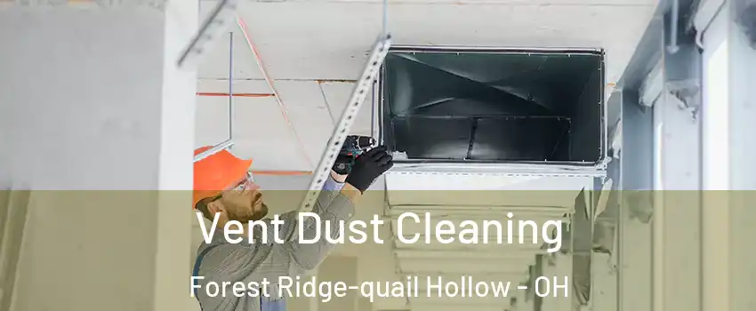 Vent Dust Cleaning Forest Ridge-quail Hollow - OH
