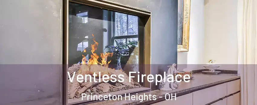 Ventless Fireplace Princeton Heights - OH