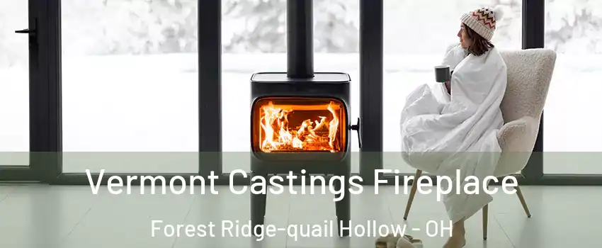 Vermont Castings Fireplace Forest Ridge-quail Hollow - OH