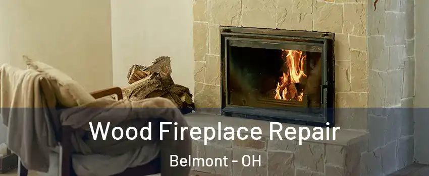 Wood Fireplace Repair Belmont - OH